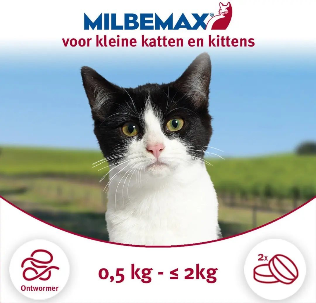 Milbemax Kitten & Kat Anti-wormtabletten 2 Stuks - afbeelding 6 van 6