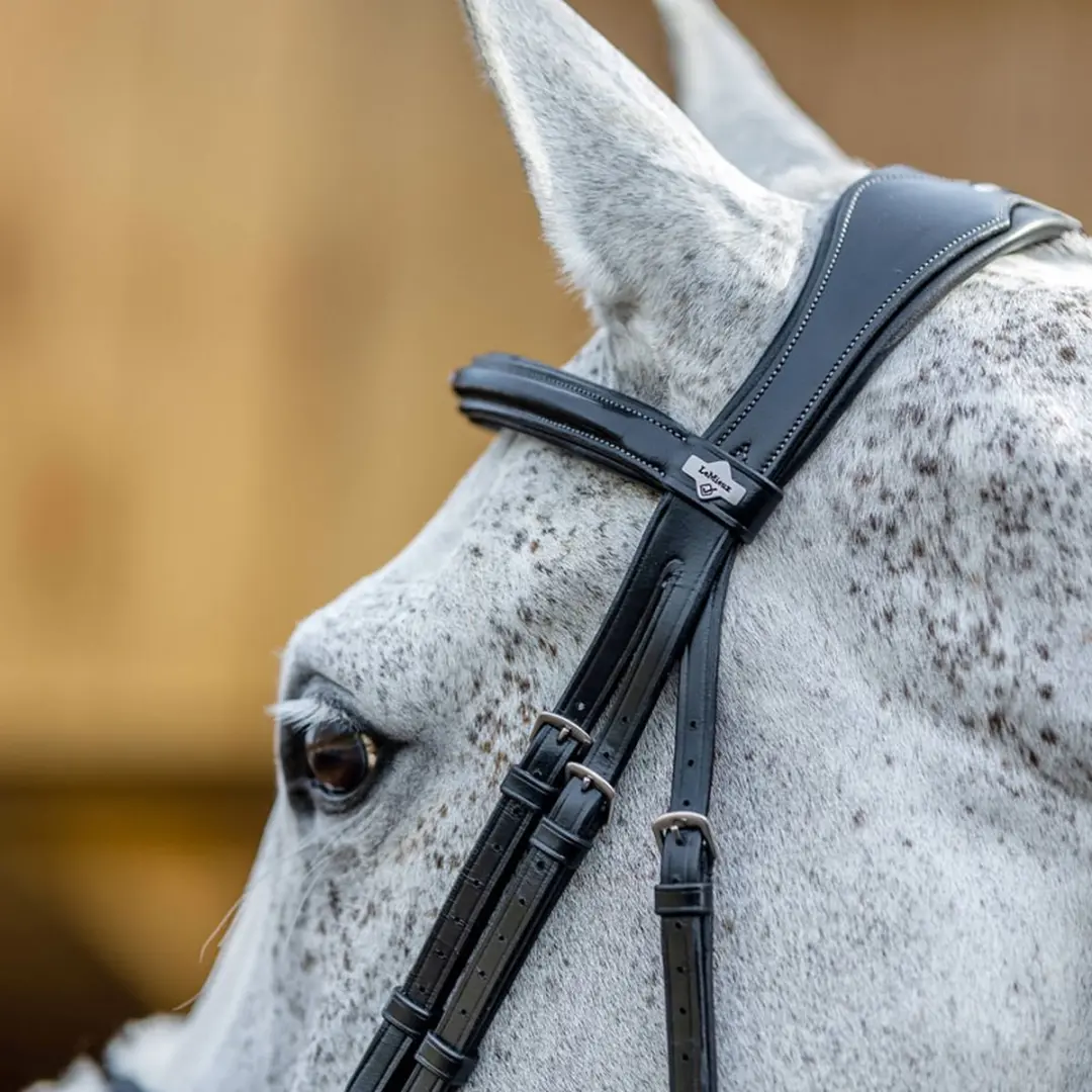 LeMieux Kudos Crackle Hoofdstel - COB - Zwart/Zilver