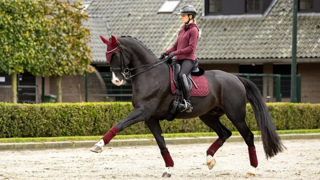 Lemieux Crystal Zadeldek Full - Zwart