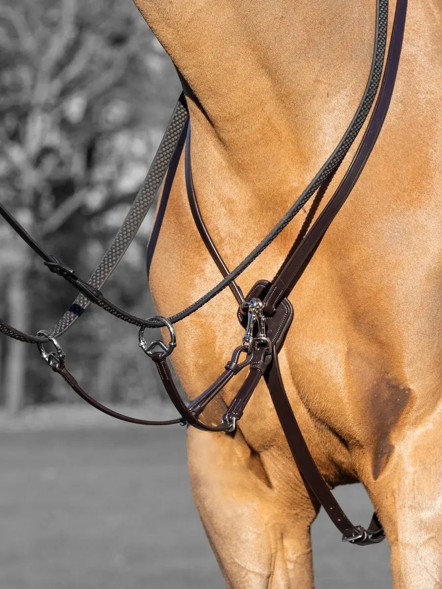 Lemieux Martingaal Kudos Running - Cob Middenbruin-zilver