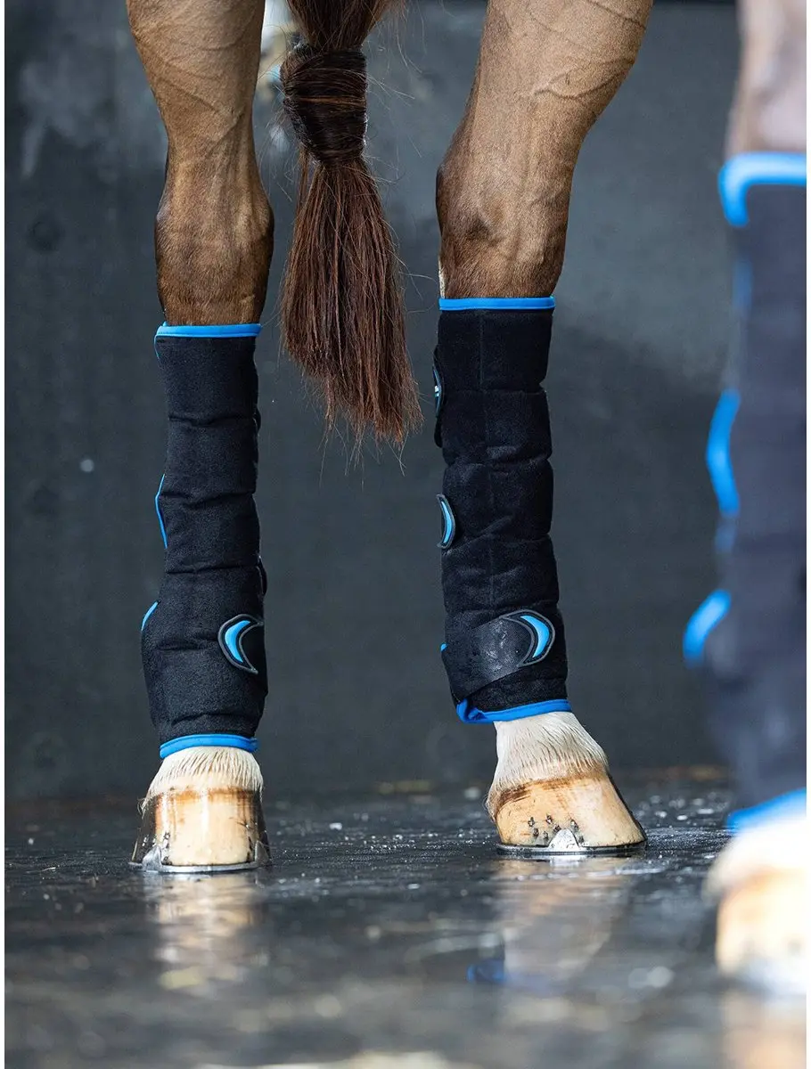 Lemieux Freeze Flow Ice Boot Hind - Zwart