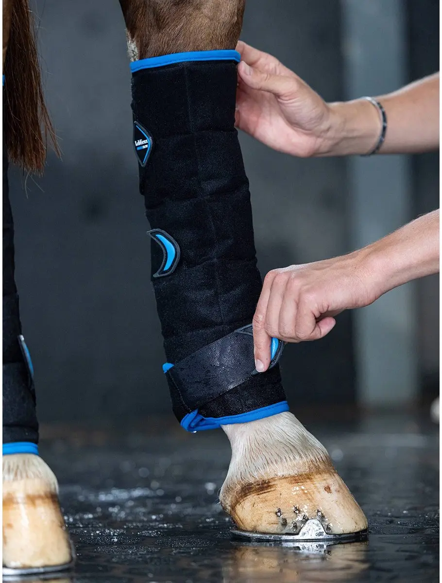 Lemieux Freeze Flow Ice Boot Hind - Zwart