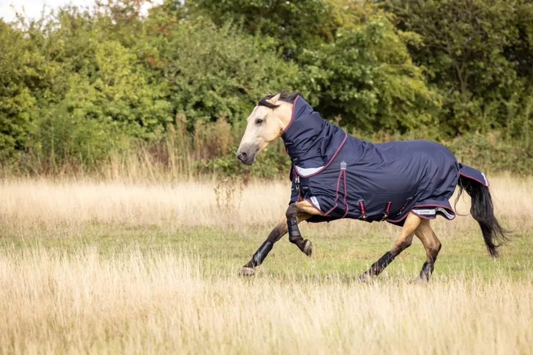LeMieux Kudos Turnout Paardendeken 205 - 350g - 4-seizoenen - afbeelding 3 van 6