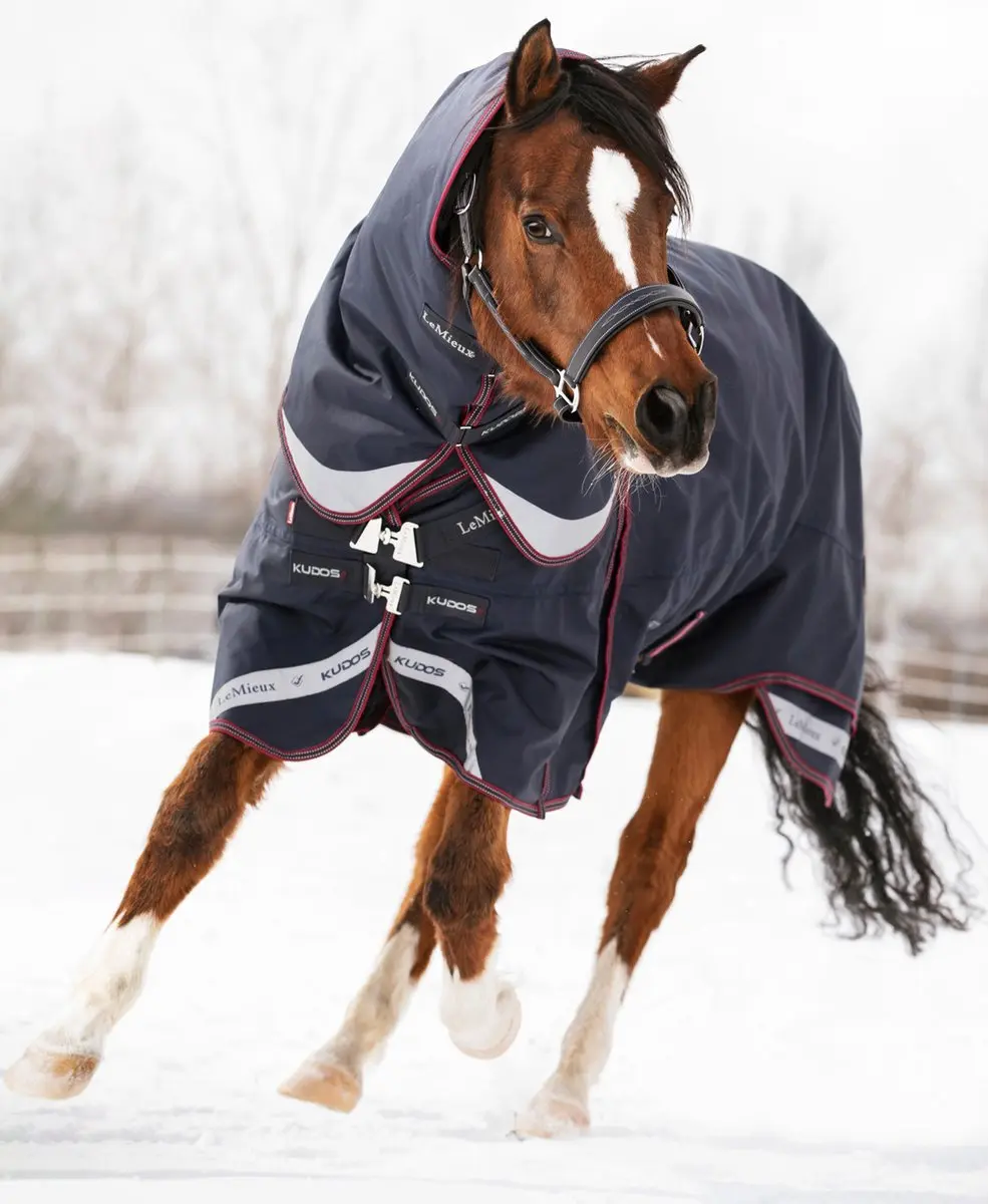LeMieux Kudos Turnout Paardendeken 205