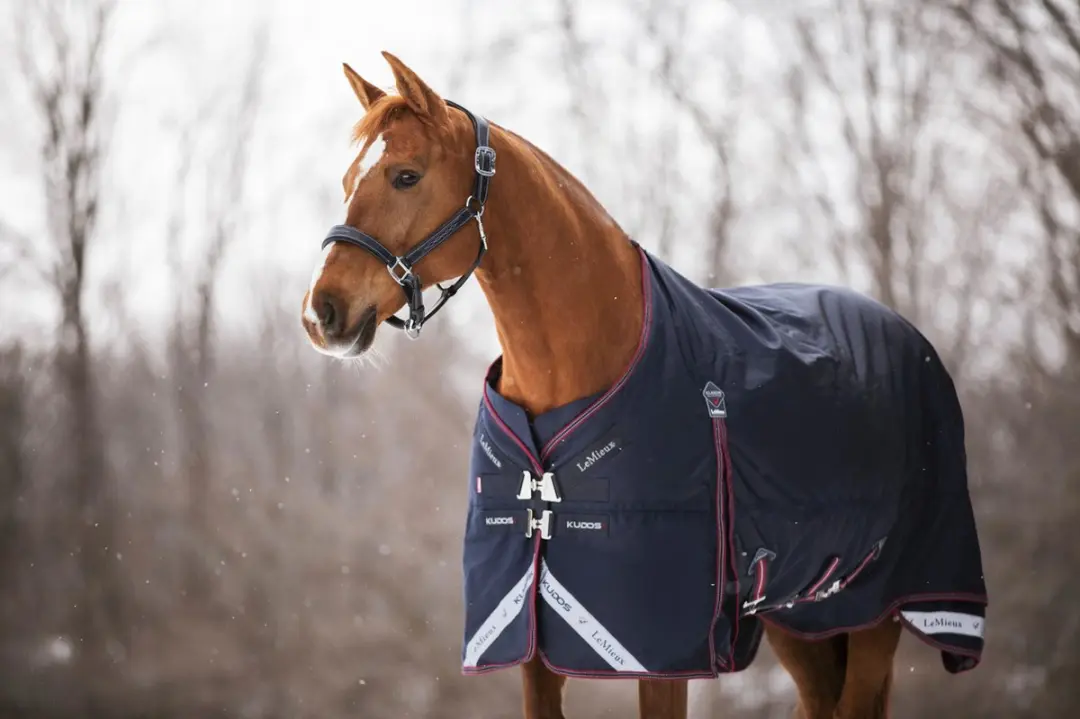 LeMieux Kudos Turnout Paardendeken 205 - 350g - 4-seizoenen - afbeelding 2 van 6