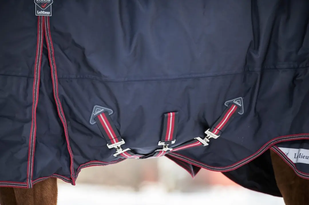 LeMieux Kudos Turnout Paardendeken 205 - 350g - 4-seizoenen - afbeelding 4 van 6