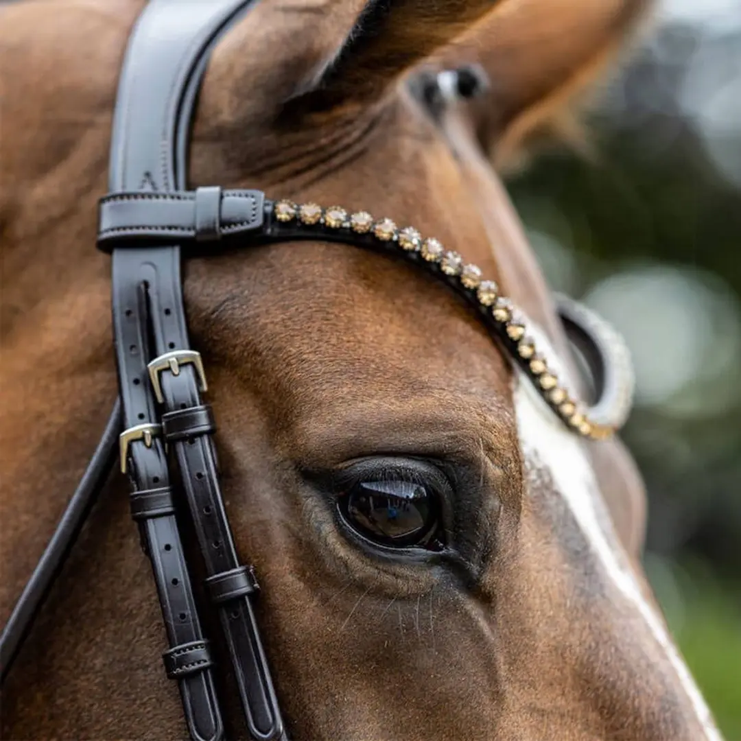 Lemieux Kudos Patent Dressage Hoofdstel - Full