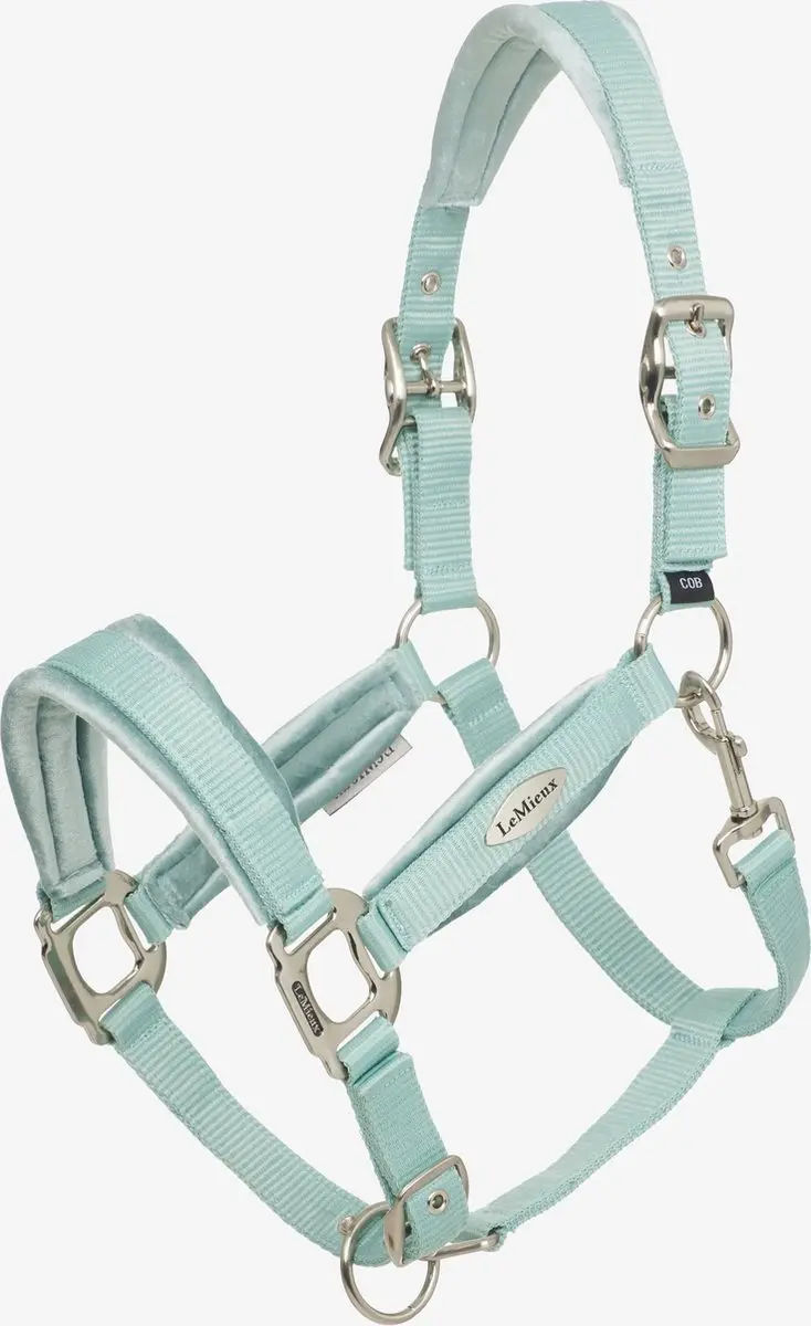 LeMieux Versailles Halster ss25 Cob Aqua