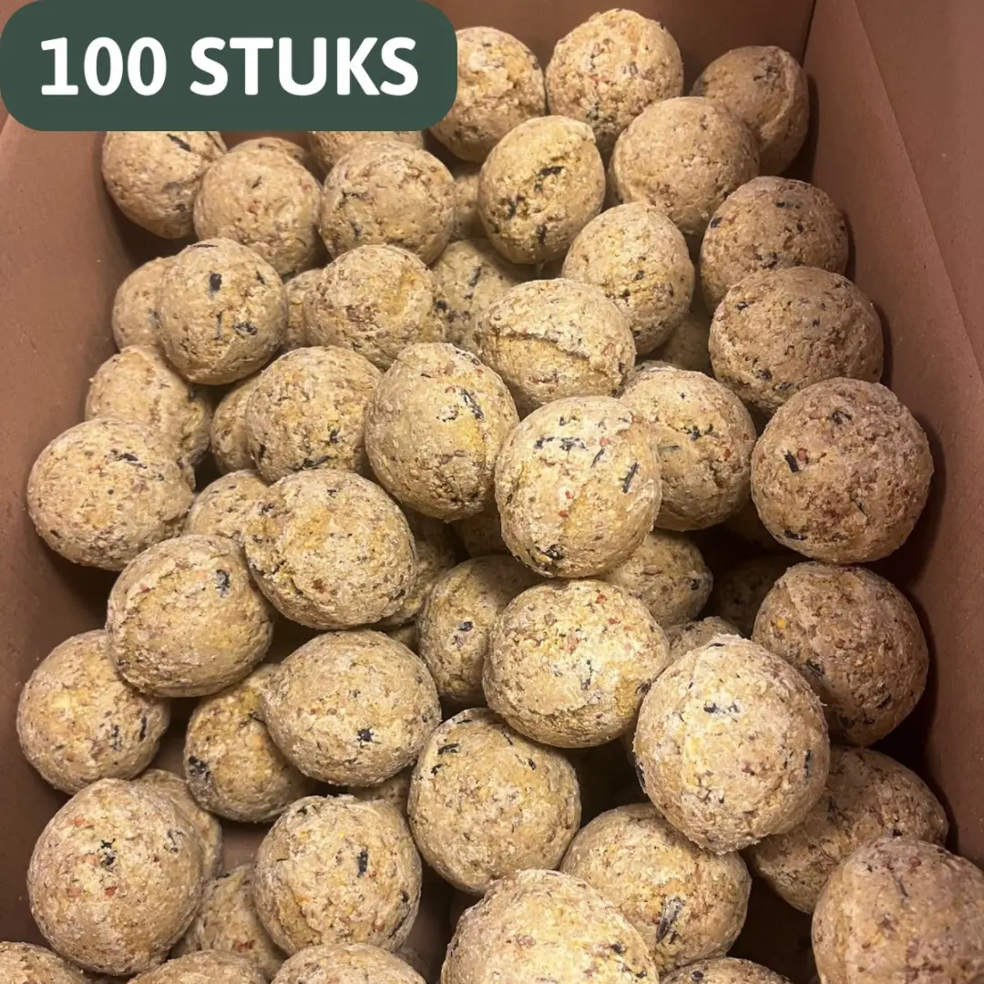 Famiflora mezenbollen zonder Net