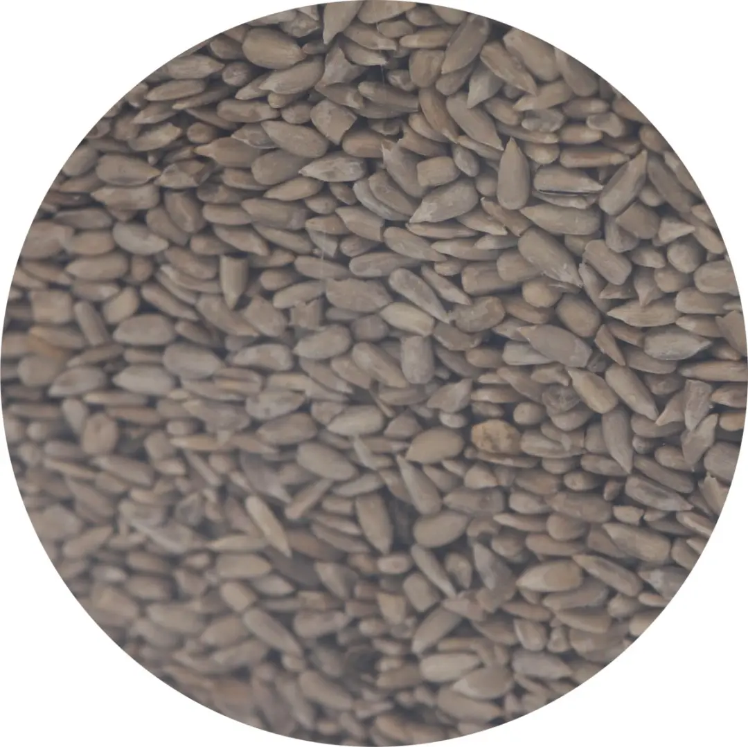Famiflora Gepelde Zonnebloempitten 6kg - Premium Vogelveer