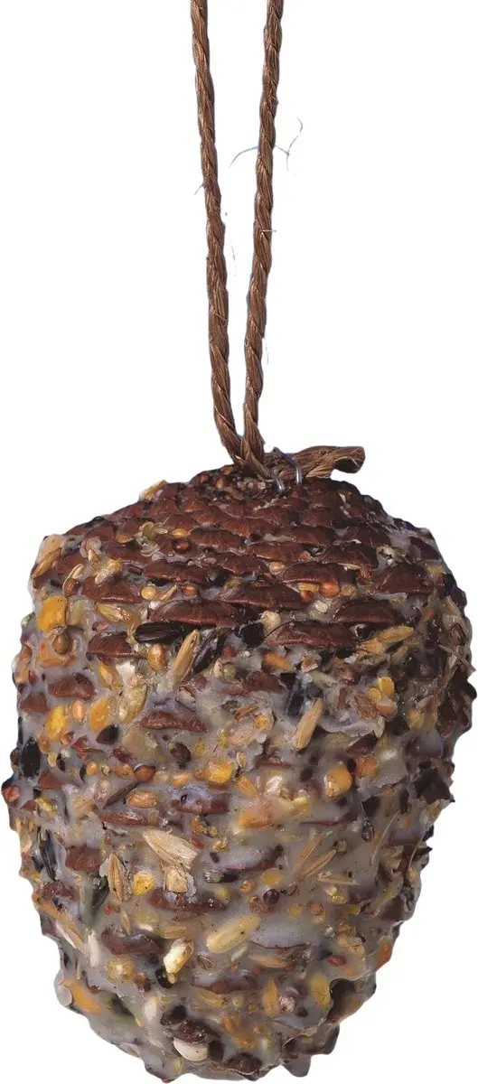 Famiflora Reuzenvethangkegel Dennenappel 300g