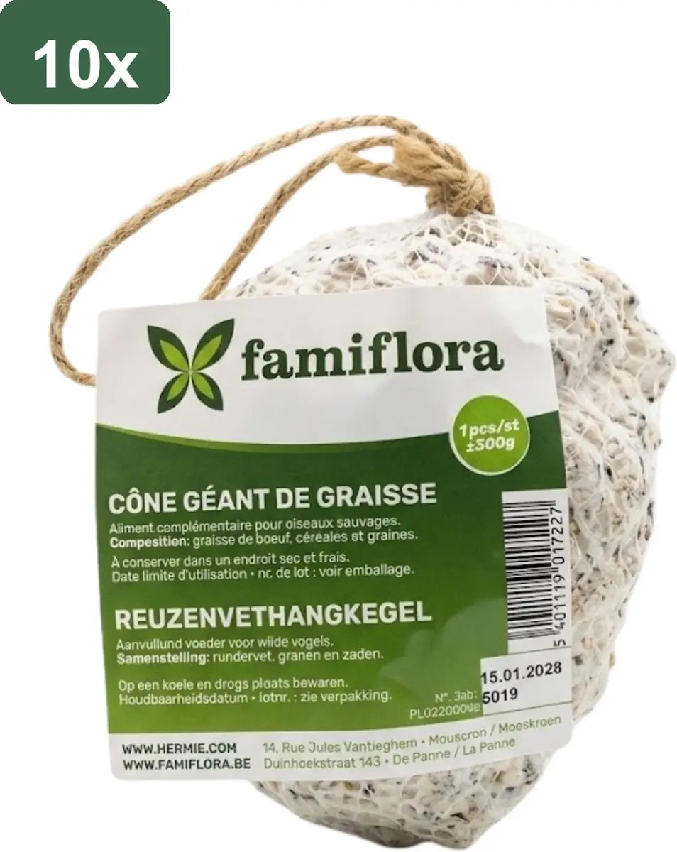 Famiflora Reuzenvethangkegel Dennenappel 10 Stuks
