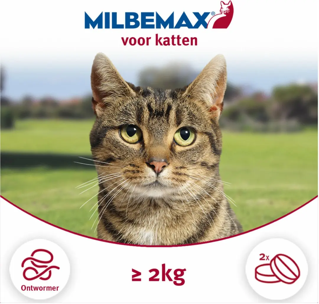 Milbemax Kat Rund Anti-wormenmiddel 4 tabletten - 2 tot 12 kg