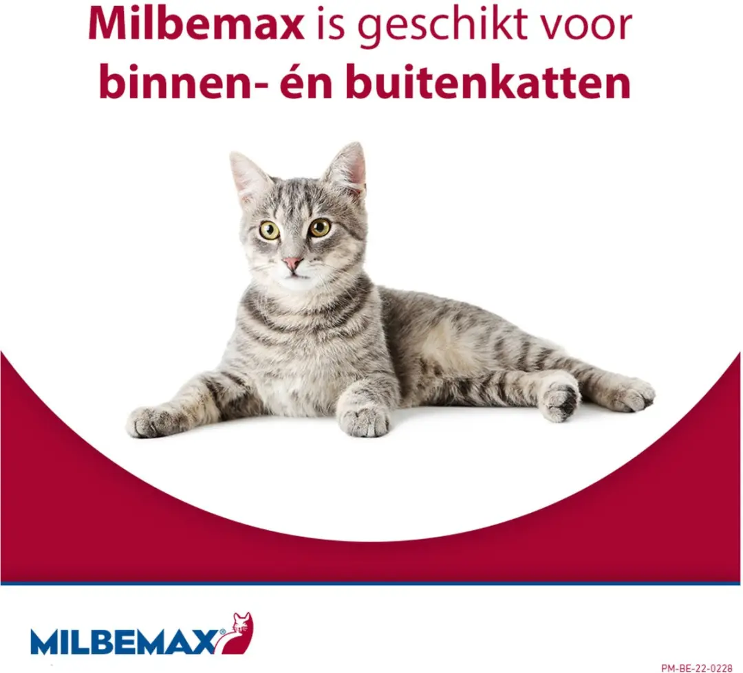 Milbemax Kat Rund Anti-wormenmiddel 4 tabletten - 2 tot 12 kg
