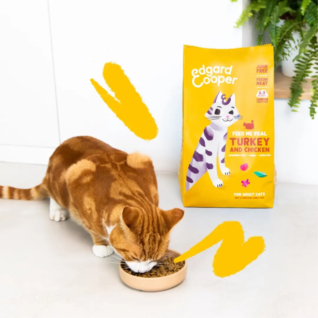Edgard & Cooper Adult Kalkoen Kip Kattenvoer - 4x2kg