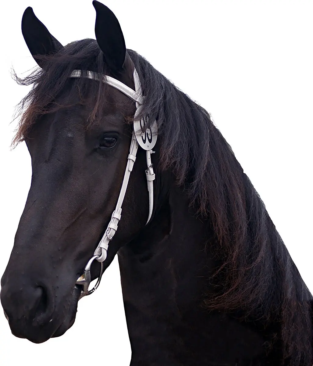 QHP Classic Keuringshoofdstel Full - Wit