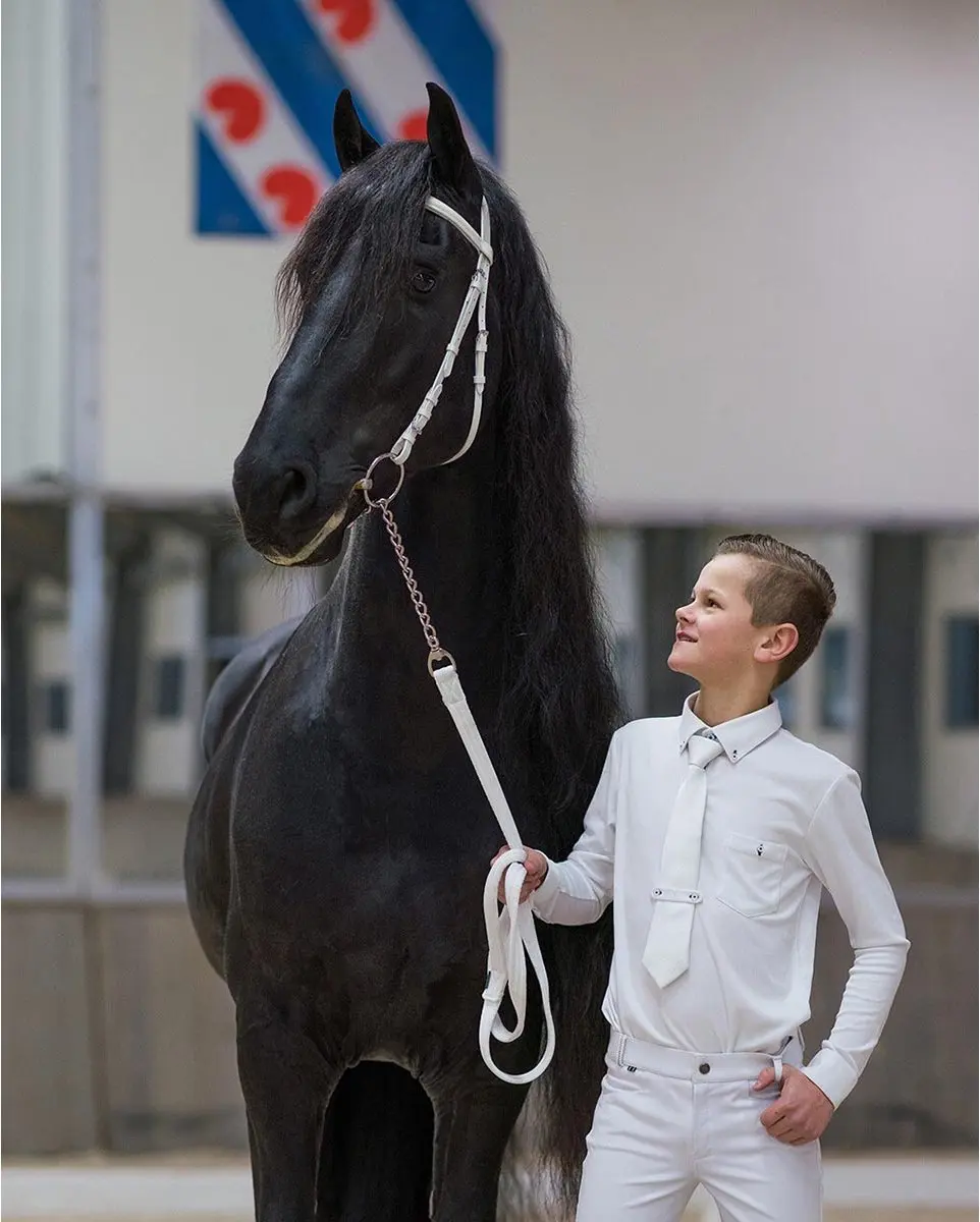 QHP Classic Keuringshoofdstel Full - Wit