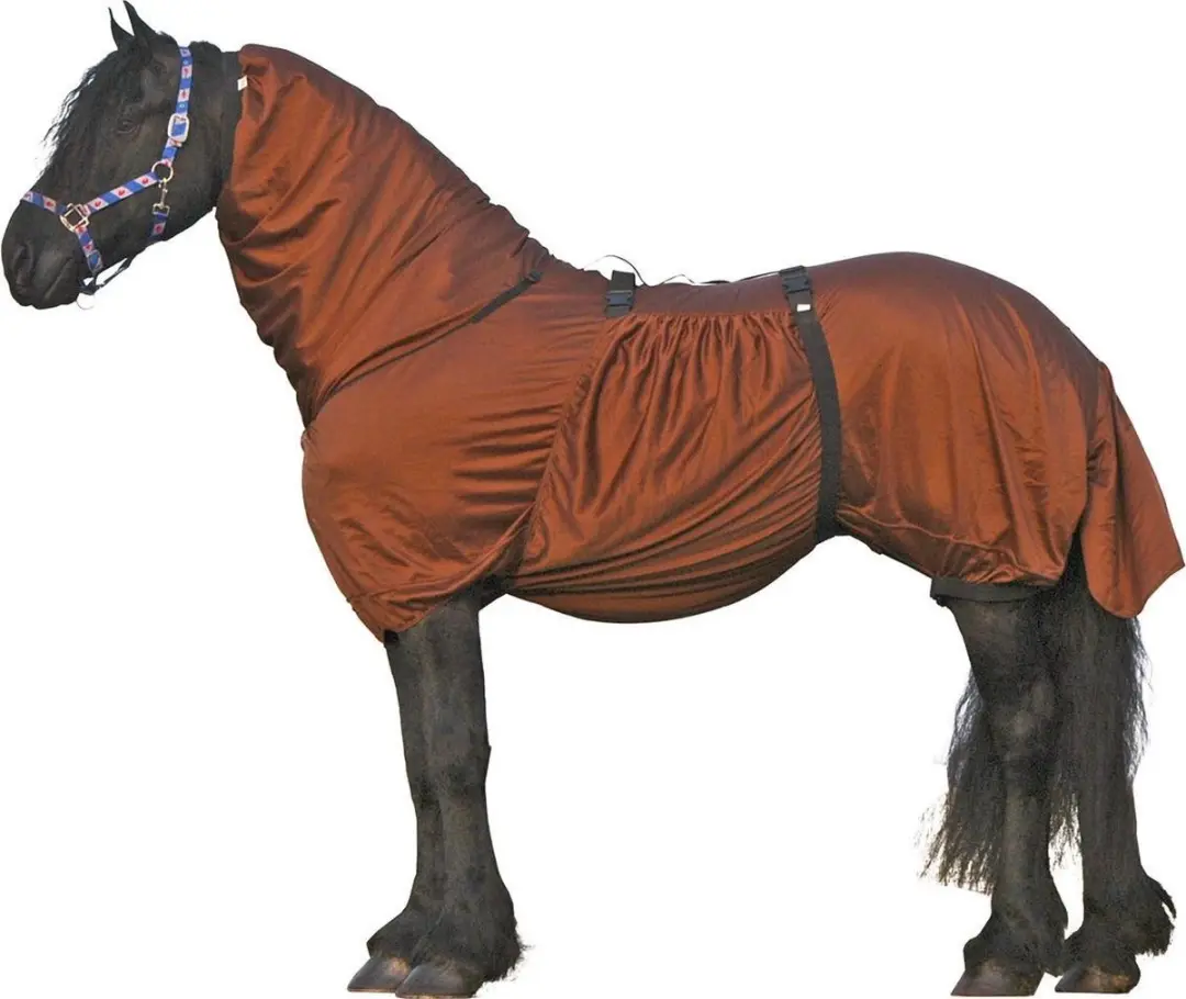 QHP Eczeemdeken Fries Bruin - 155x205cm