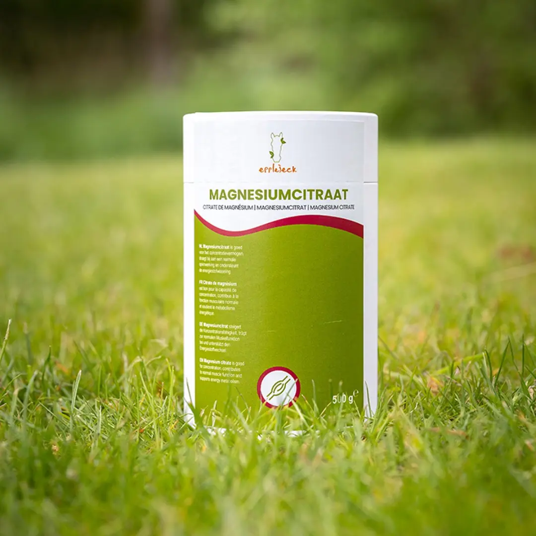 Epplejeck Magnesium Citraat 2 Stuks