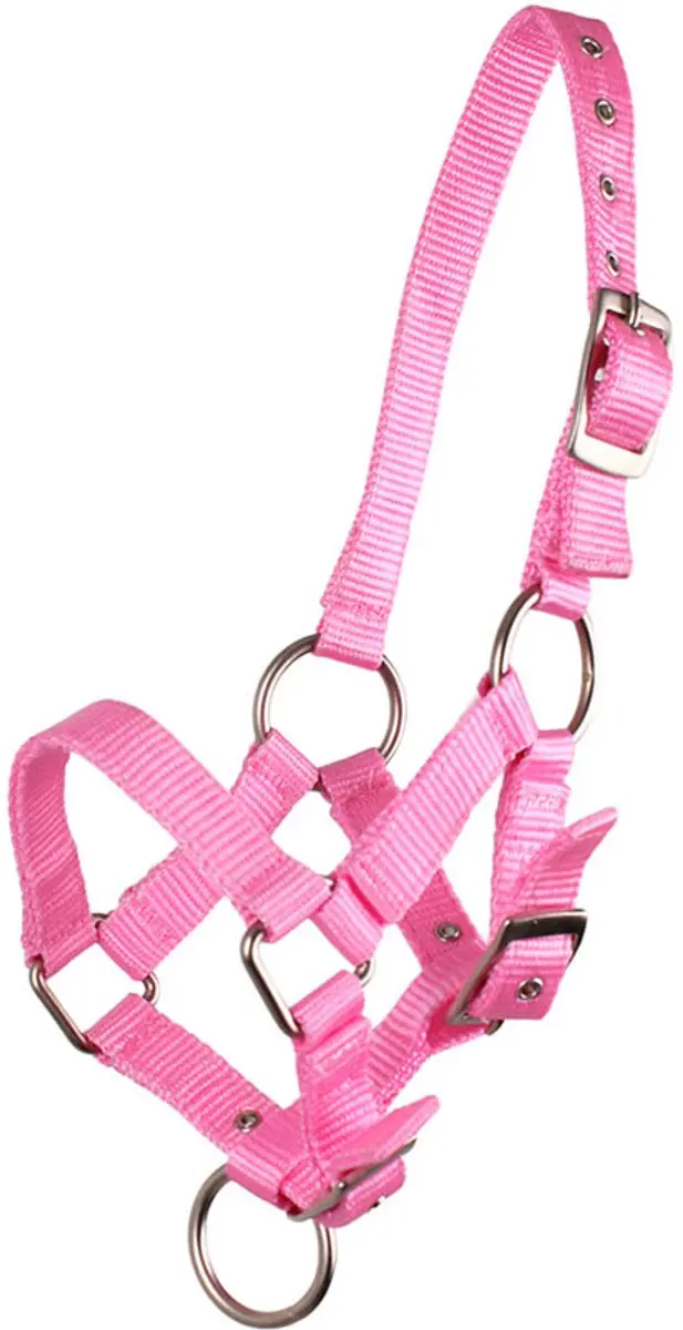 QHP Veulenhalster - Roze