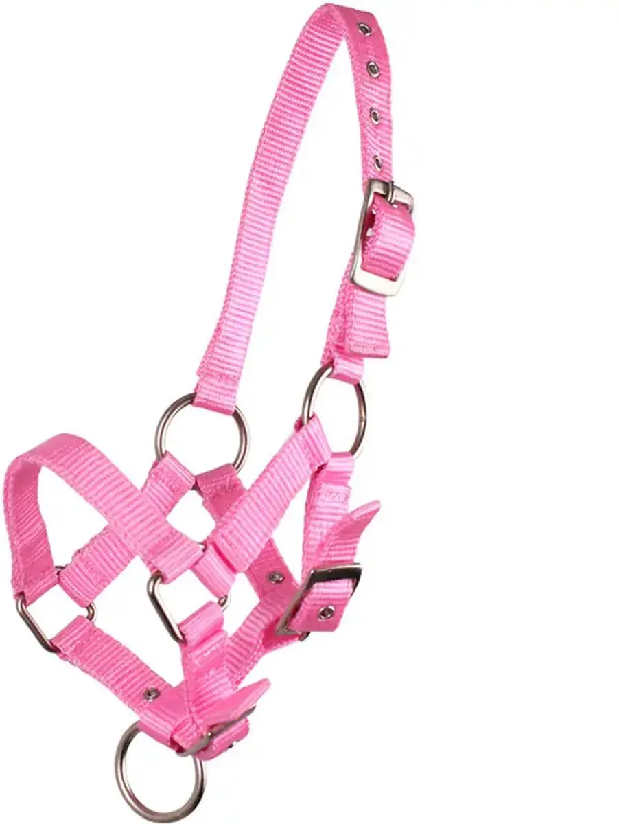 QHP Veulenhalster - Roze