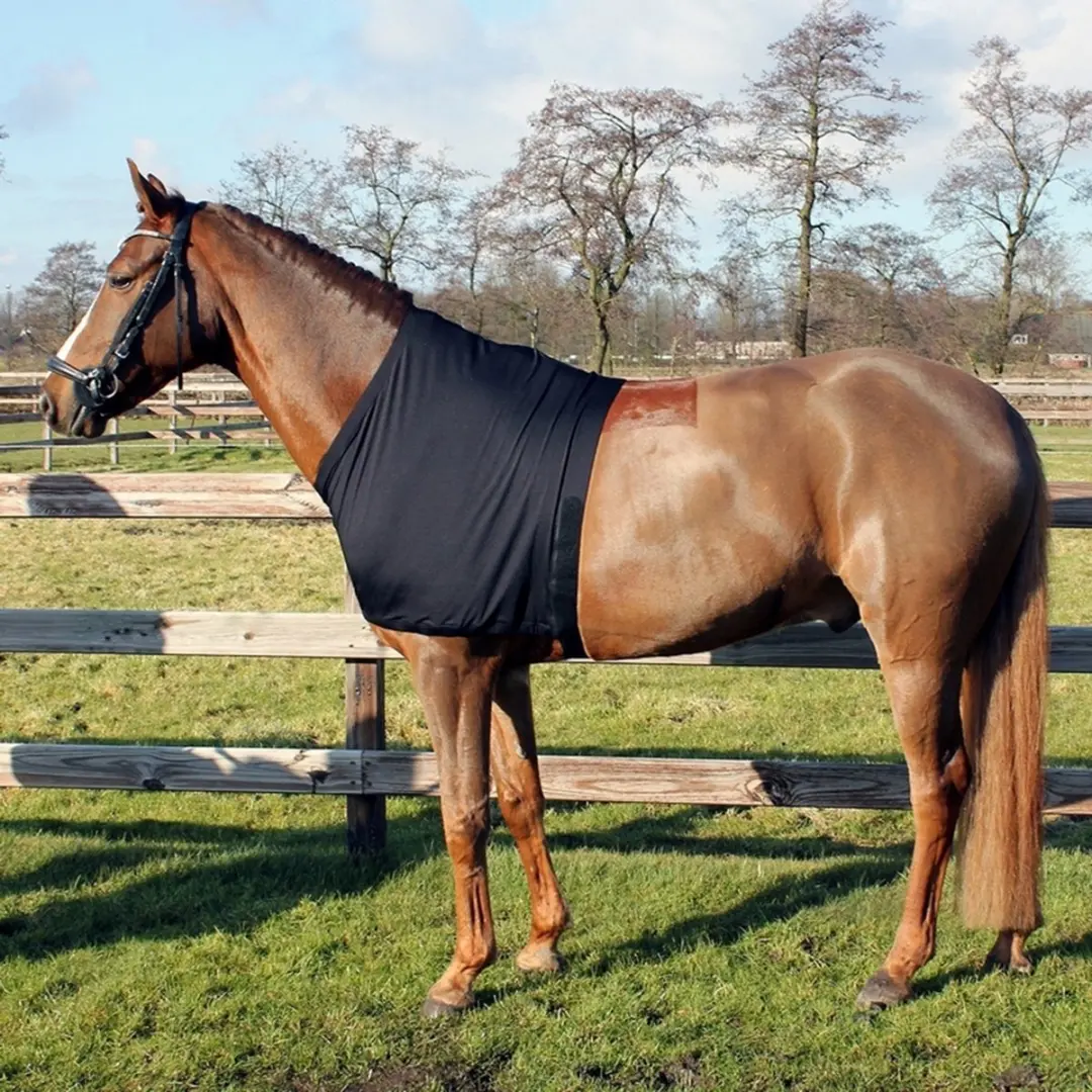 QHP Borstbeschermer Lycra - Zwart XL