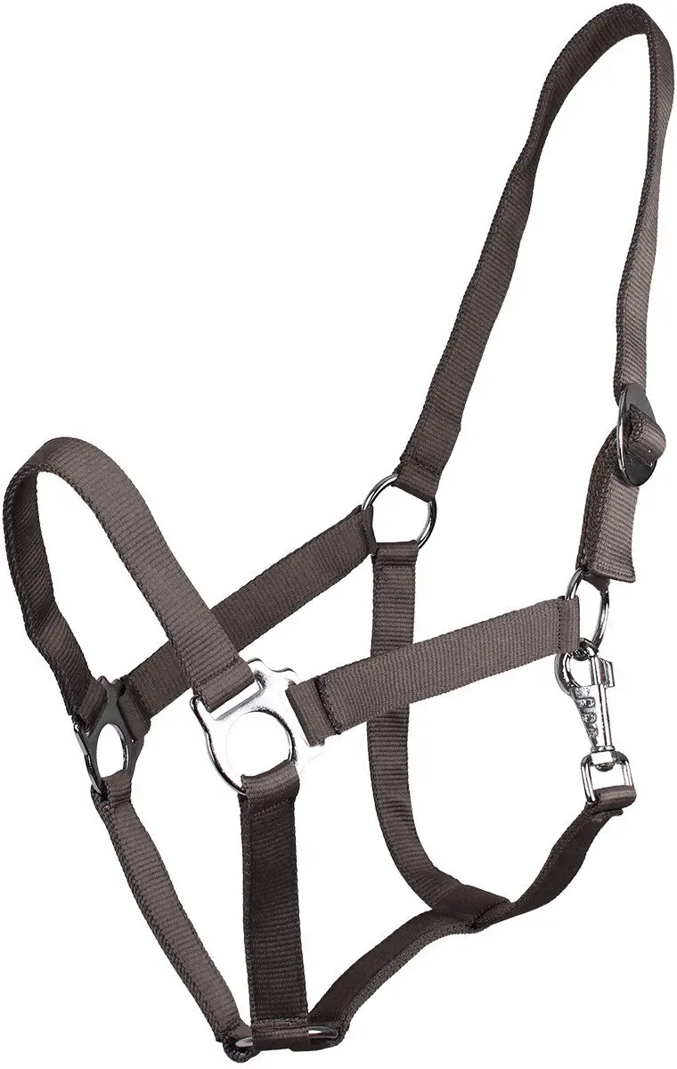 QHP Halster Basic Shetlander