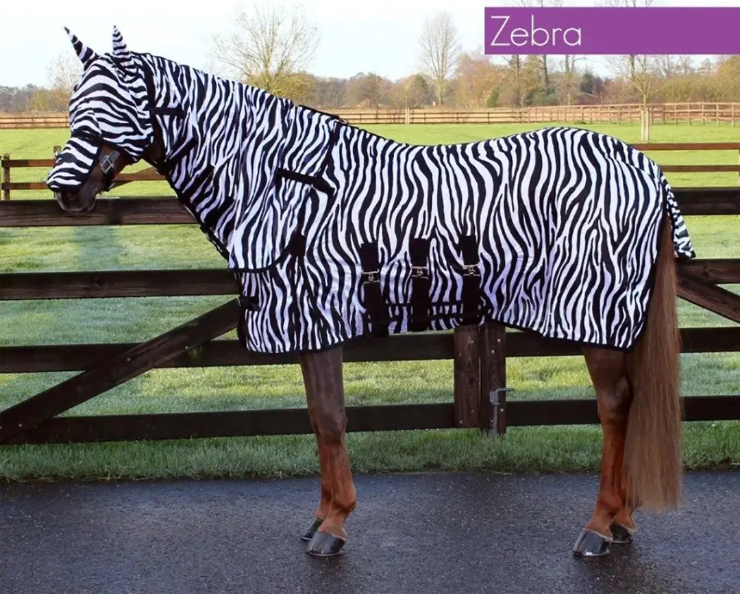 QHP Vliegendeken Zebra - 100cm - 4-Seizoenen - afbeelding 6 van 6