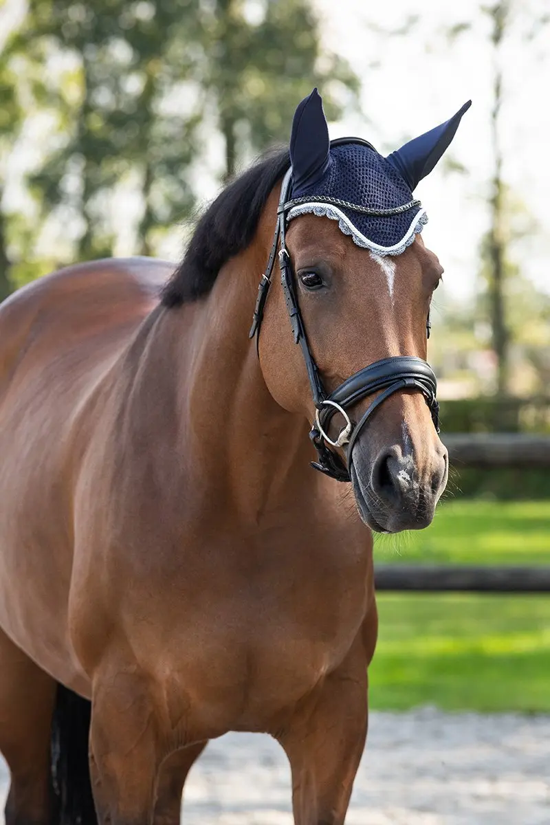 QHP Oornetje Color Cob - Sky