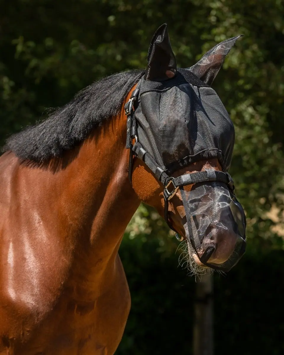 QHP Halster Vliegenmasker Combi Pony - Zwart - afbeelding 3 van 6