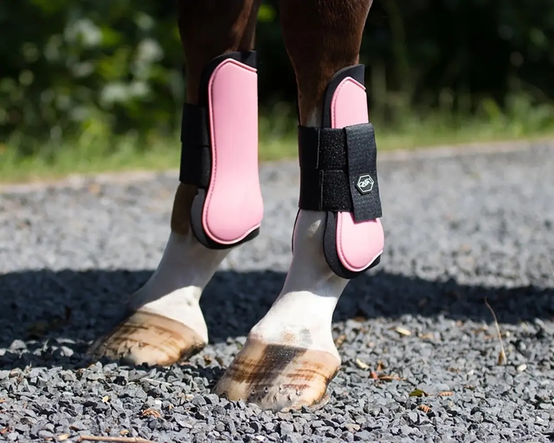 QHP Peesbeschermers Pony - Roze - 2 Stuks
