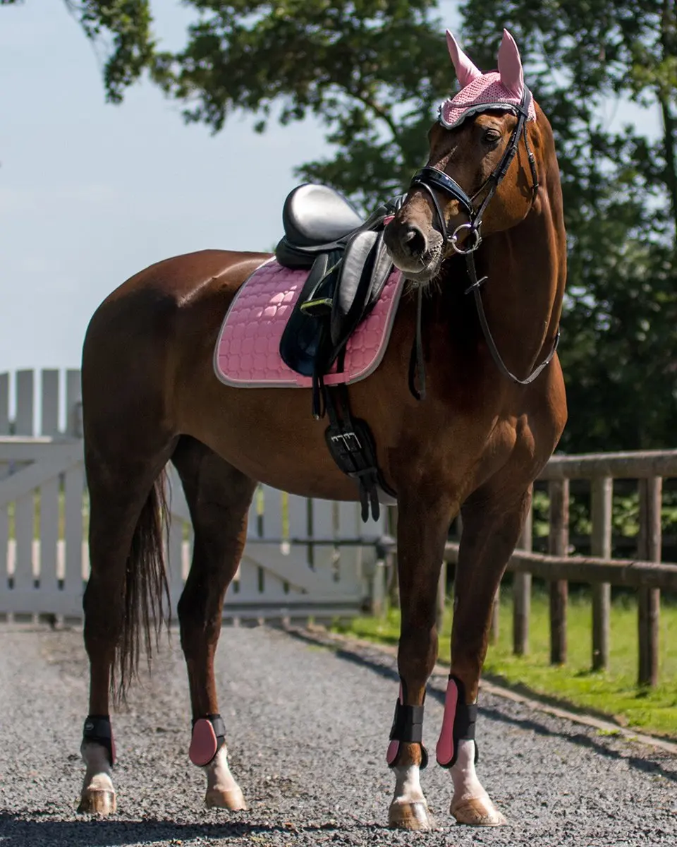 QHP Peesbeschermers Pony - Roze - 2 Stuks