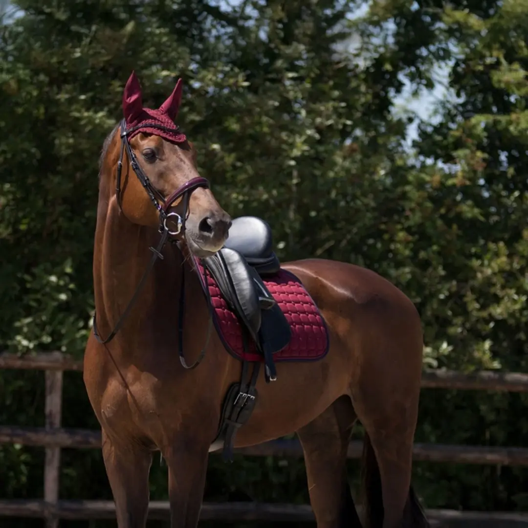 QHP Florence Zadeldek Full - Donkerrood