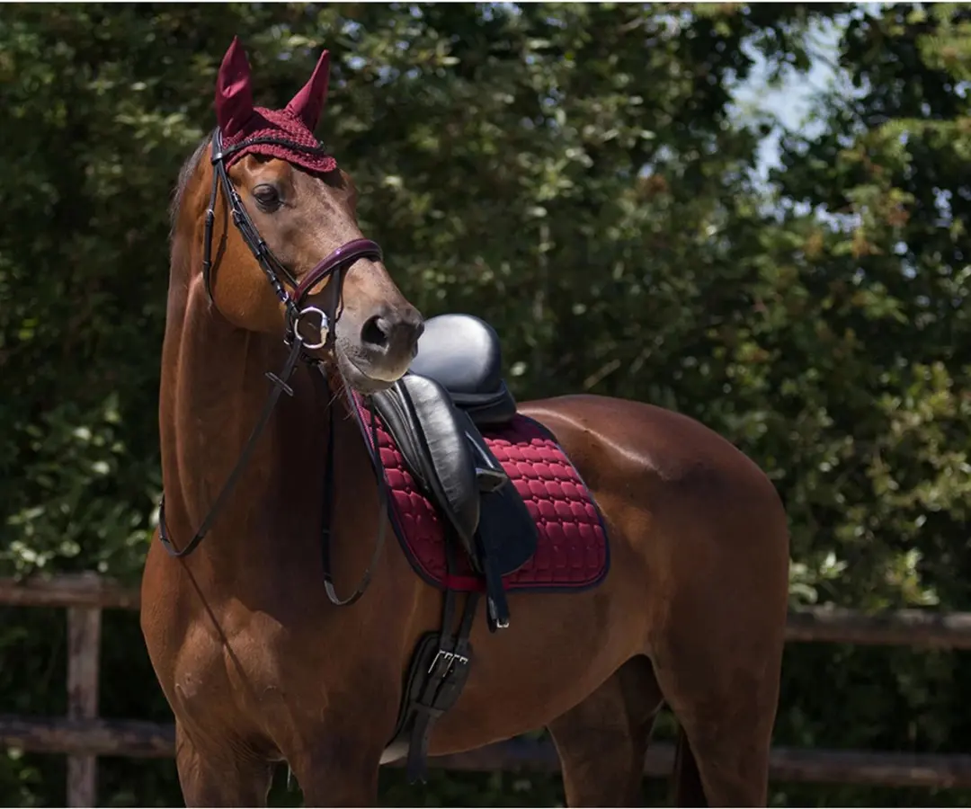 QHP Florence Zadeldek Full - Donkerrood - afbeelding 6 van 6