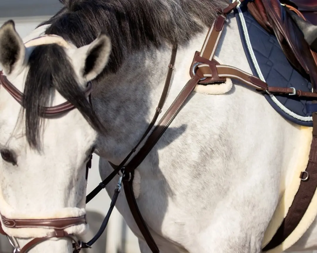 QHP Ontario Hoofdstel - Pony - Bruin