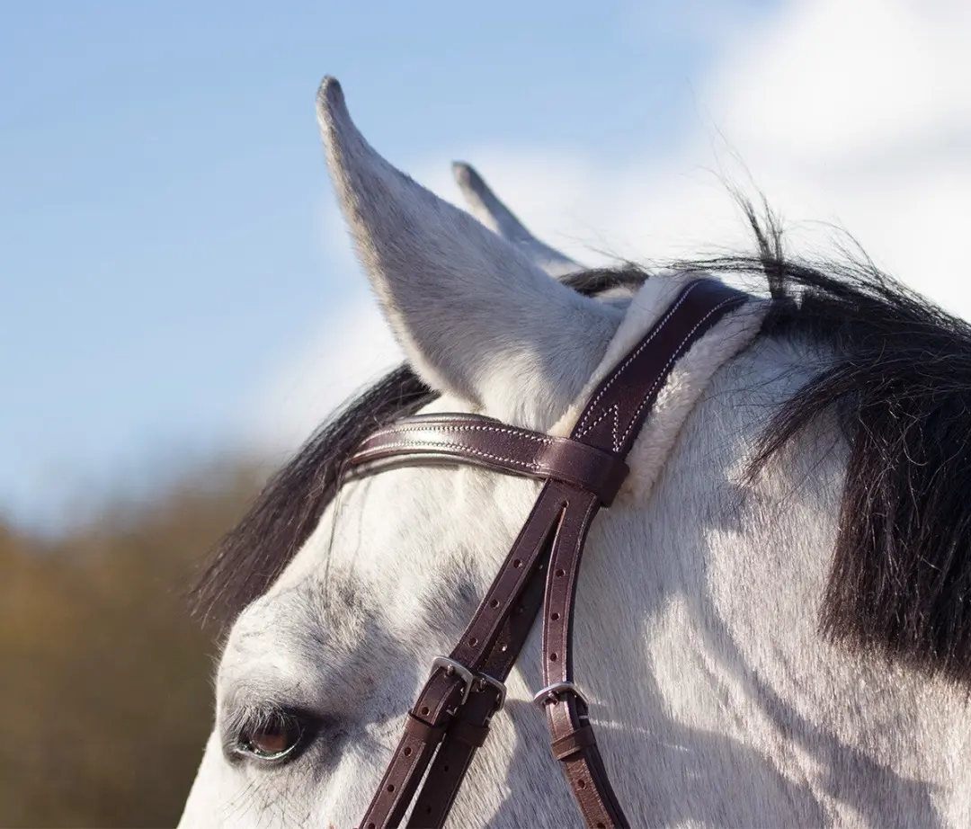 QHP Ontario Hoofdstel - Pony - Bruin - afbeelding 6 van 6