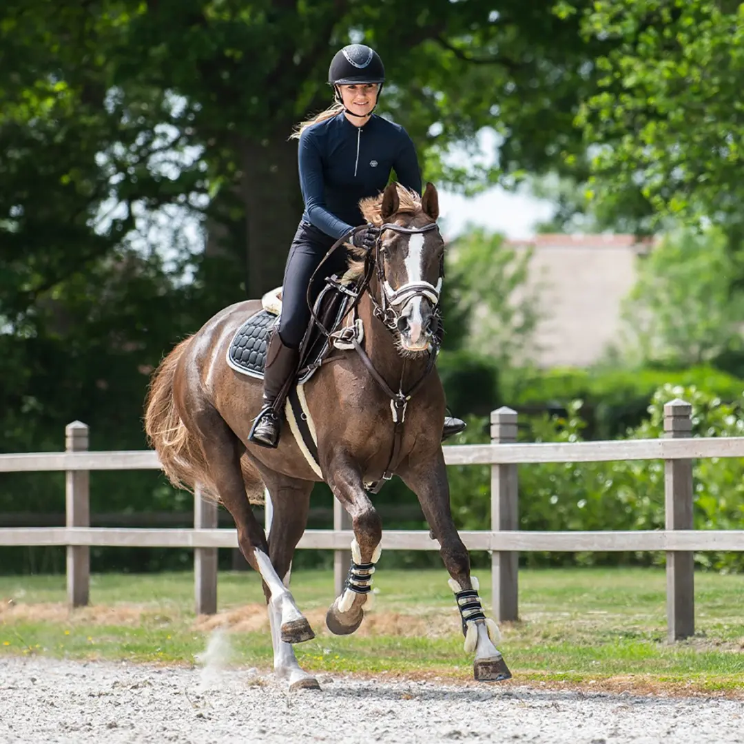QHP Ontario Hoofdstel - Pony - Bruin