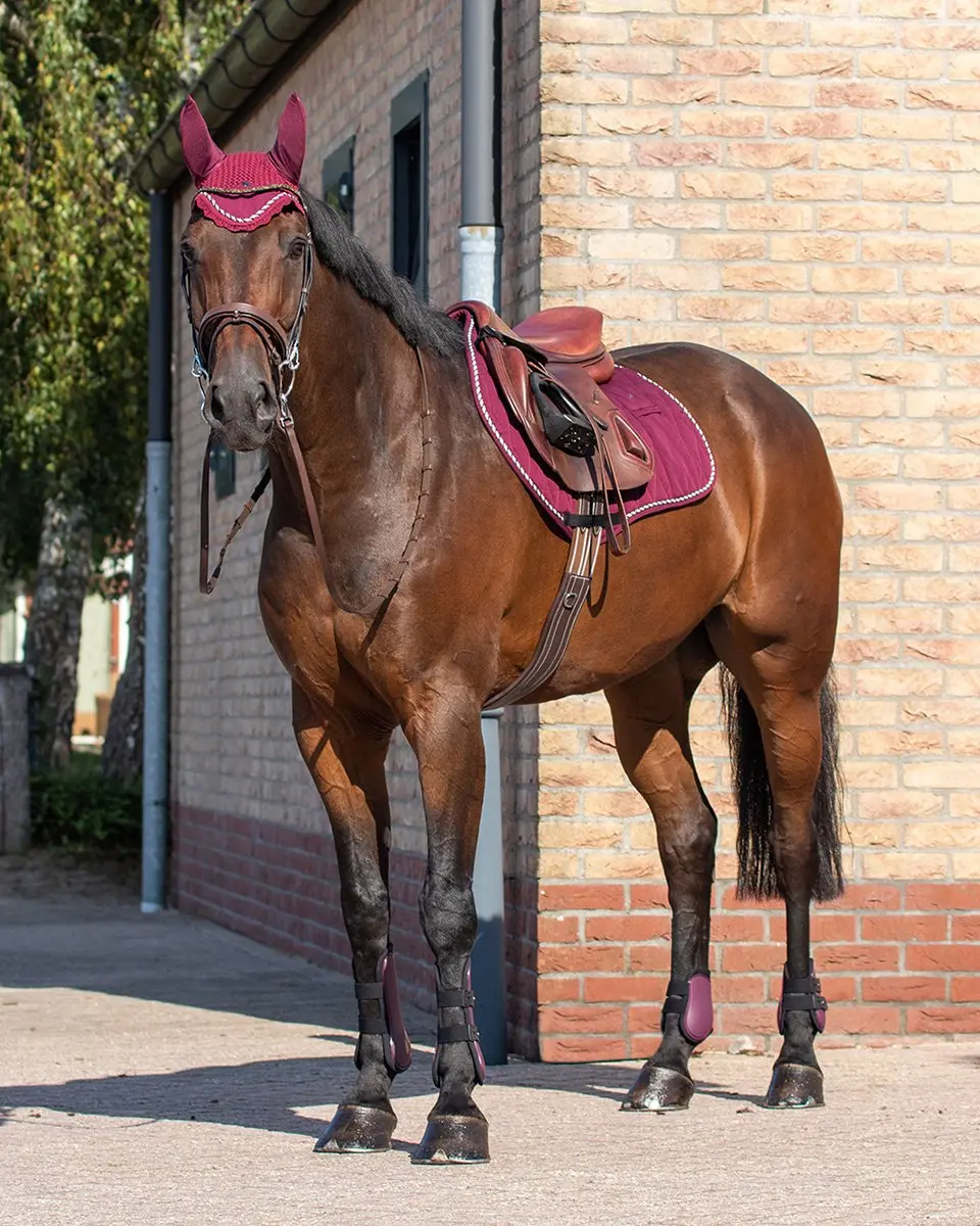 QHP Peesbeschermerset Donkerrood - Pony - afbeelding 6 van 6