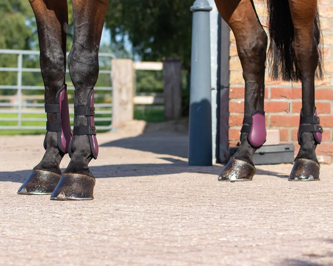 QHP Peesbeschermerset Donkerrood - Pony