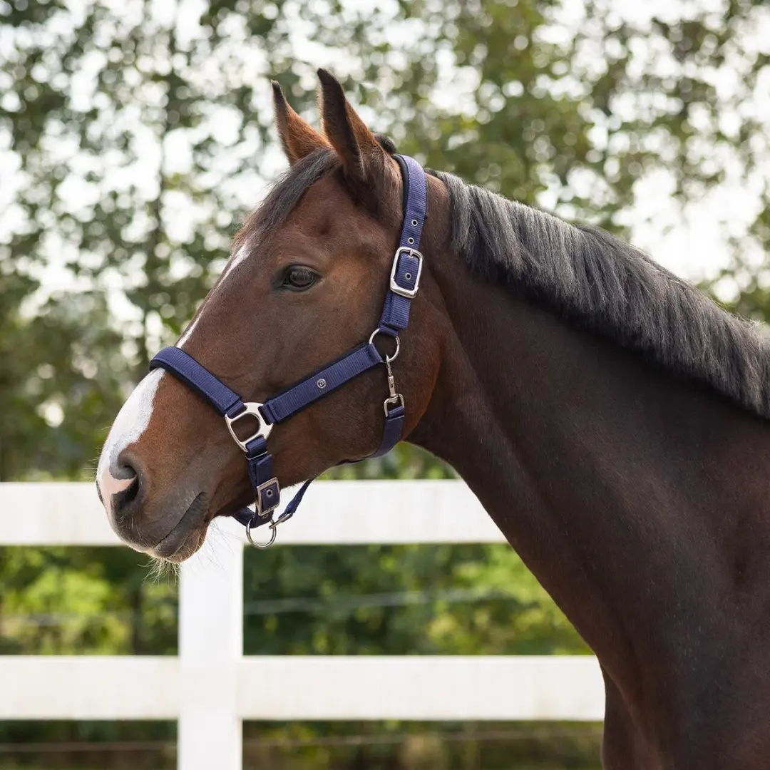 QHP Halster Deluxe Donkerblauw - Pony