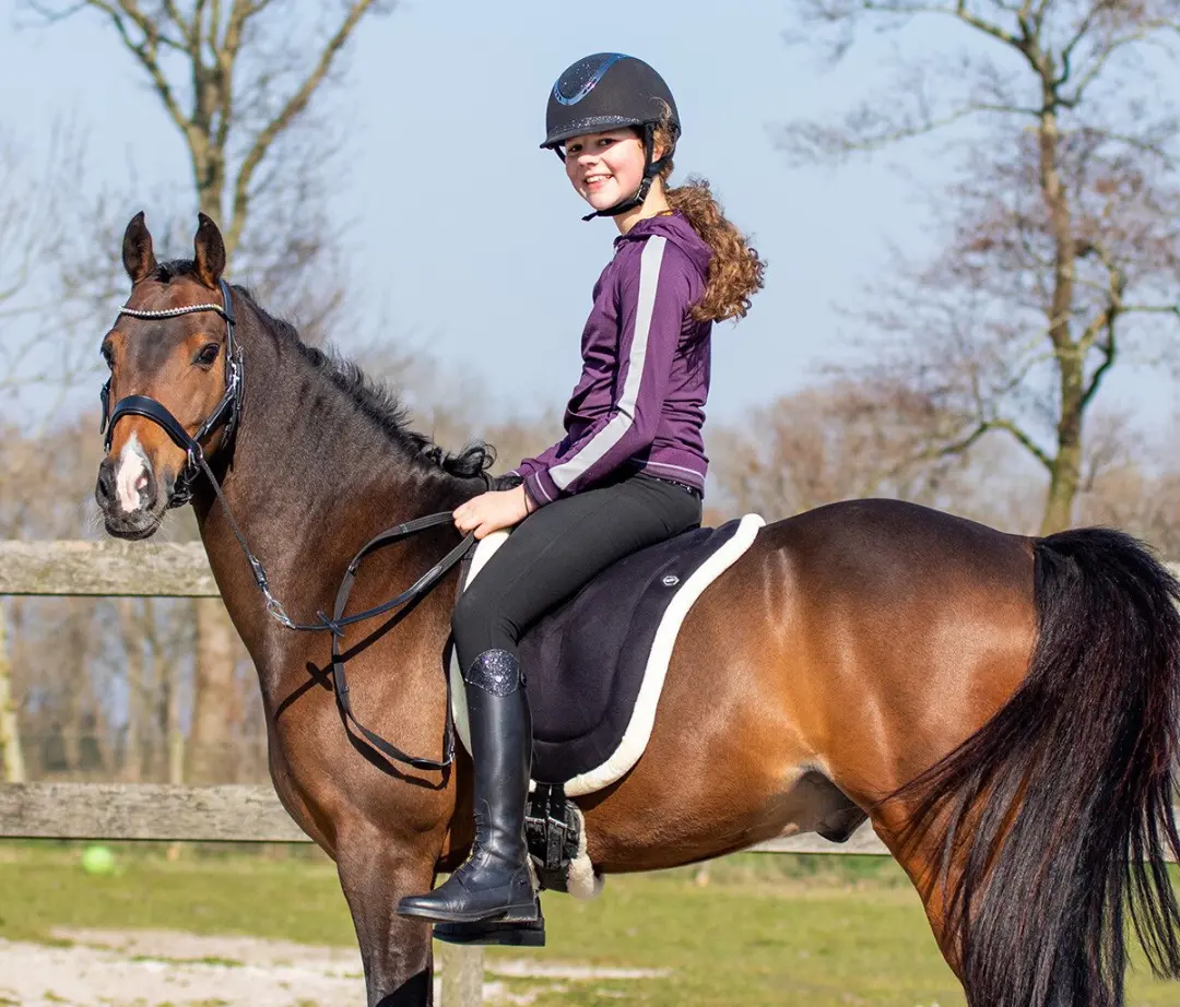 QHP Barebackpad Full - Zwart - afbeelding 6 van 6