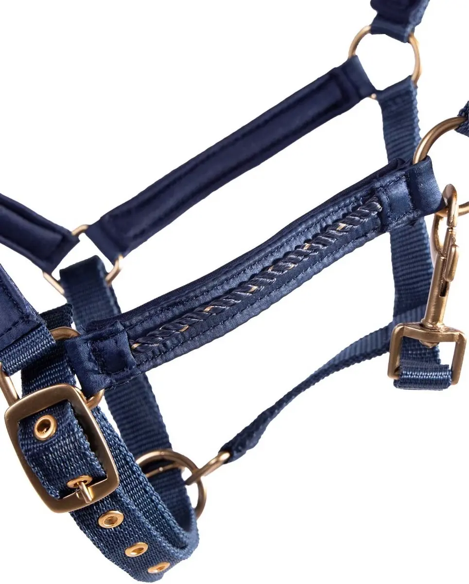 QHP Halster Veulen Lily Navy - Full