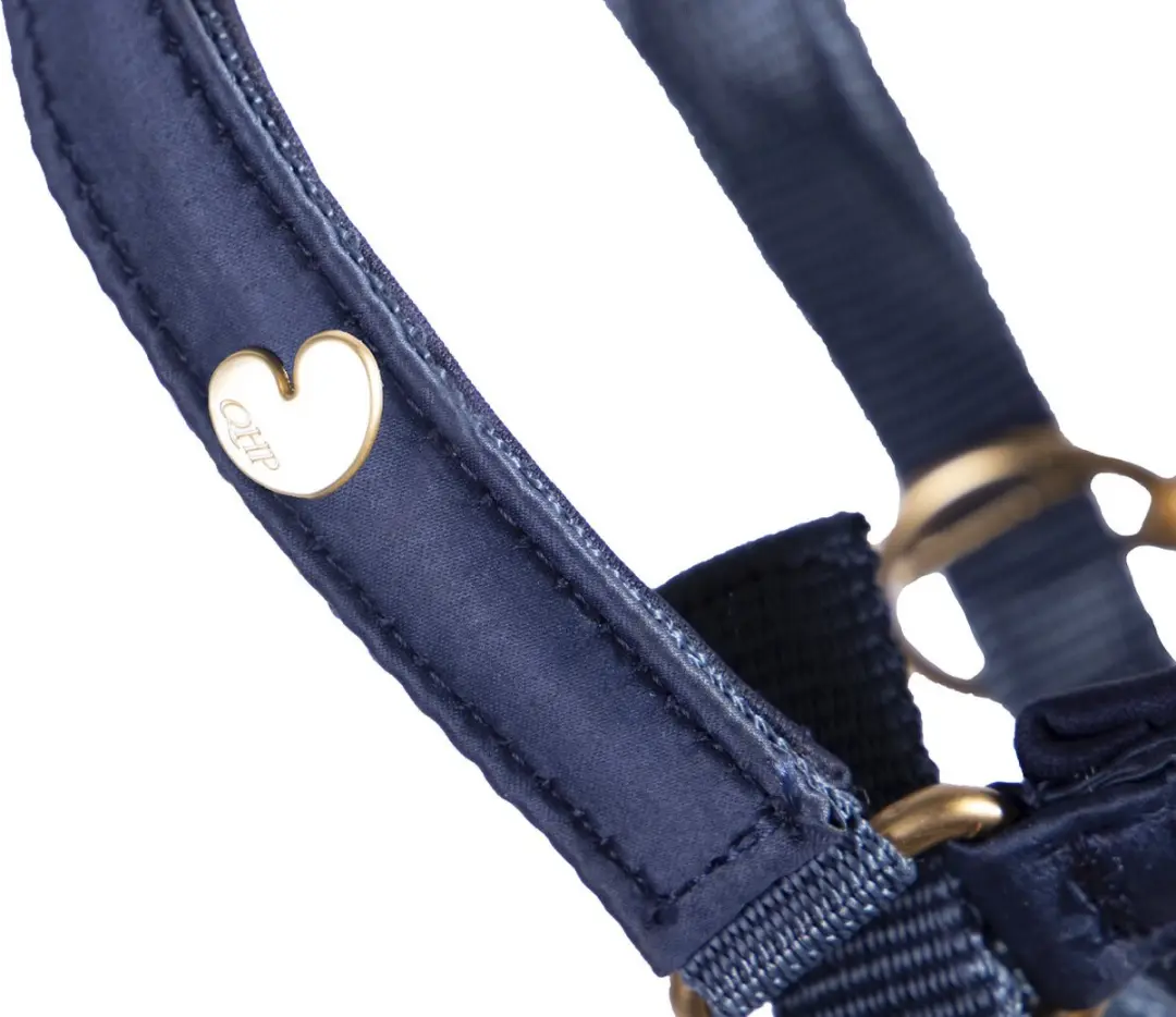 QHP Halster Veulen Lily Navy - Full