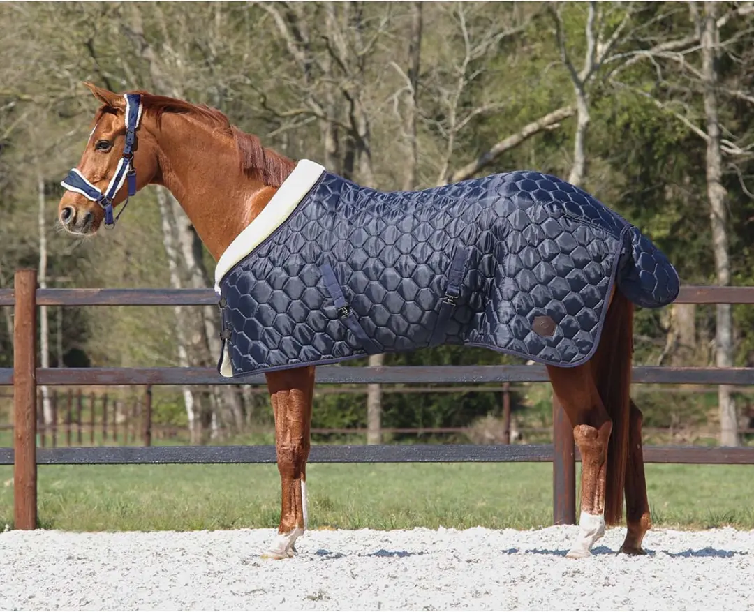 QHP STALDEKEN CLASSY Donkerblauw