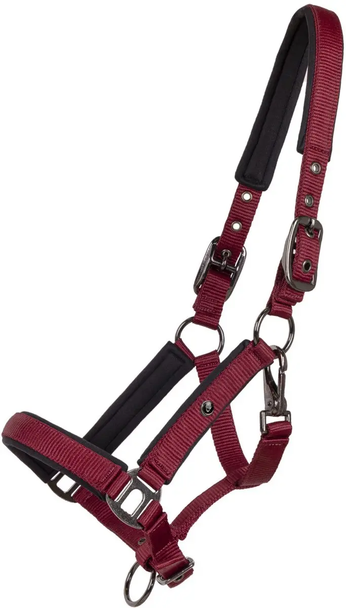 QHP Veulenshirt Deluxe Rood