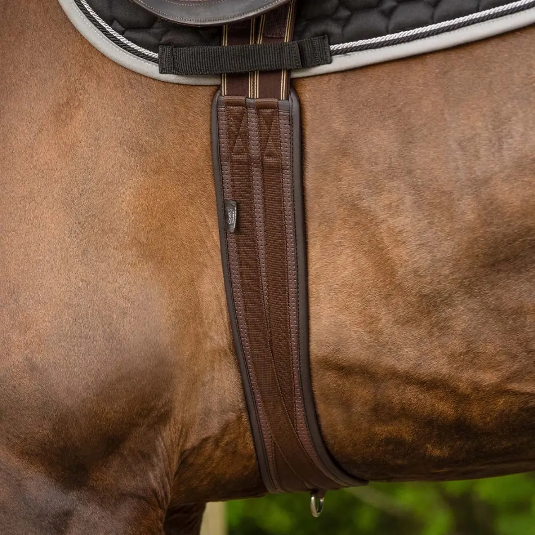 QHP Veelzijdigheidssingel Basic Pro - Bruin