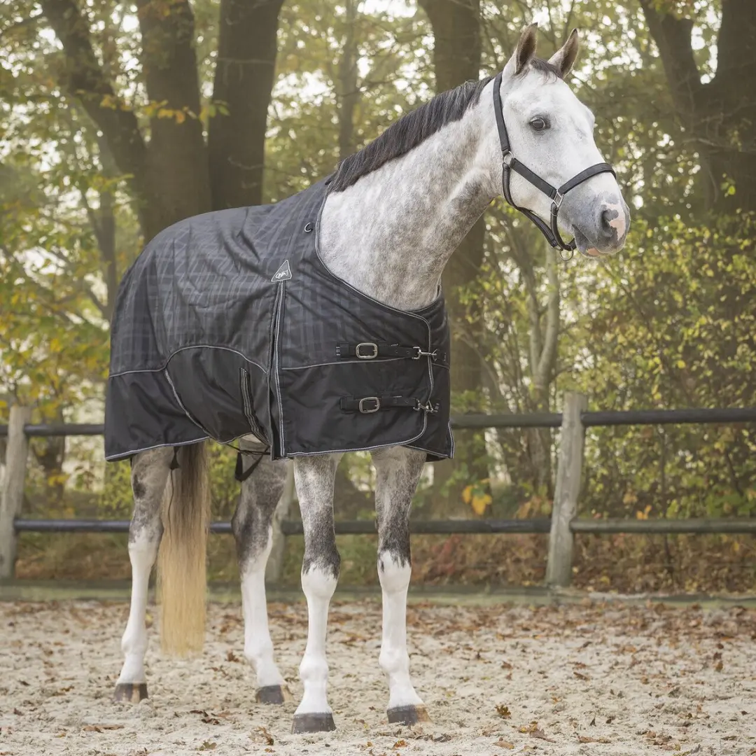 QHP Collection Outdoor Paardendeken 300g - 165cm - Zwart - afbeelding 3 van 6