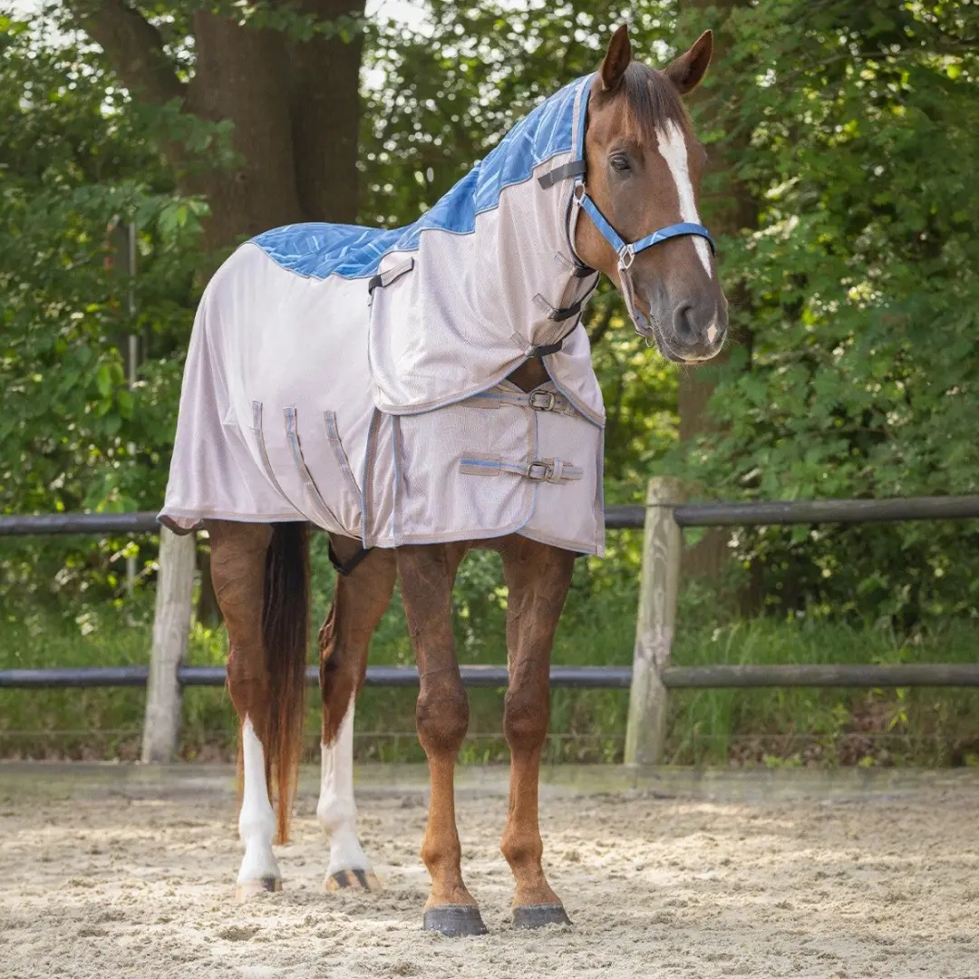 QHP Deken 165cm - 4-Seizoenen - Blauw - afbeelding 3 van 6