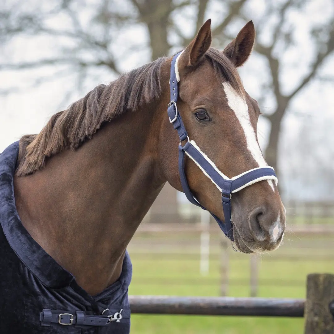 QHP Sensisoft Halster Pony Marineblauw