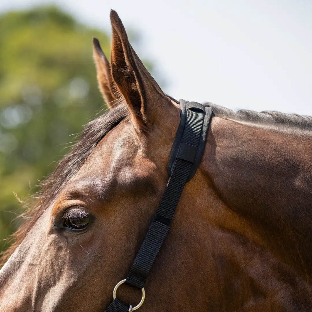 QHP Graasmasker Bont Pony - Zwart